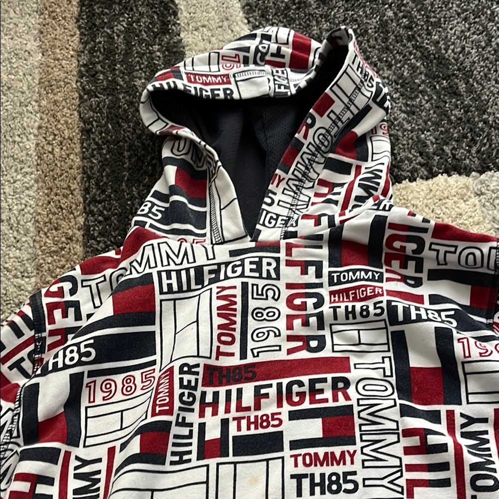 Tommy Hilfiger Graphic Hoodie